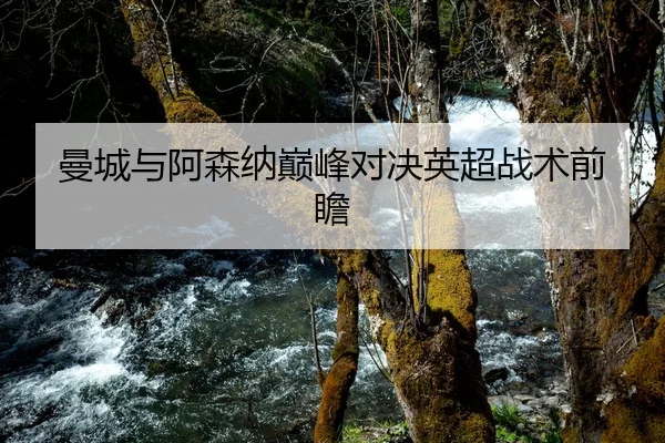 曼城与阿森纳巅峰对决英超战术前瞻